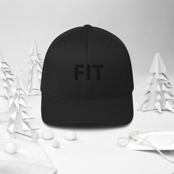 Fit Structured Twill Cap