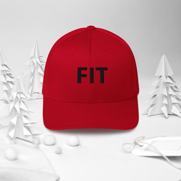 Fit Structured Twill Cap